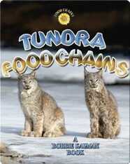 Tundra Food Chains