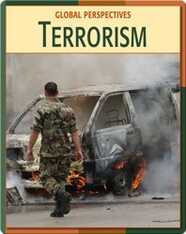 Global Perspectives: Terrorism