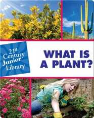 What Is A Plant