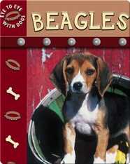 Eye To Eye With Dogs: Beagles