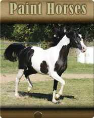 Paint Horses