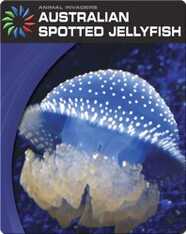 Animal Invaders: Australian Spotted Jellyfish