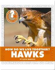 How Do We Live Together? Hawks