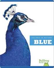Colors In Nature: Blue