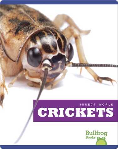 Insect World: Crickets book
