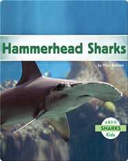Hammerhead Sharks