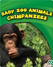 Baby Zoo Animals: Chimpanzees