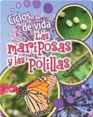 Ciclos de vida de las mariposas y las polillas