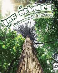 Los Árboles: Pulmones de la Tierra (Trees: Earth's Lungs)
