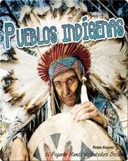 Pueblos Indígenas