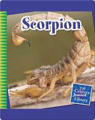 Scorpion