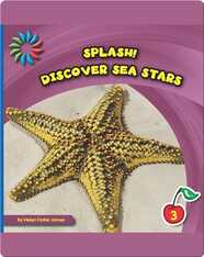 Discover Sea Stars