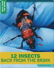 12 Insects Back From The Brink