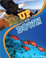 Animals Up and Down