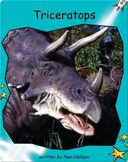 Triceratops