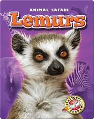 Lemurs