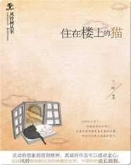 住在楼上的猫