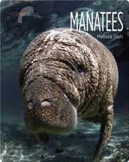 Manatees