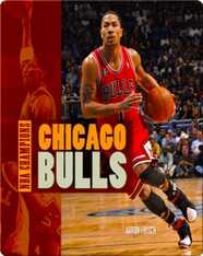 Chicago Bulls