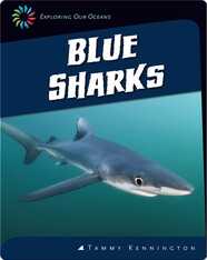 Blue Sharks