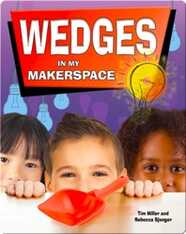 Wedges in My Makerspace