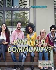 What is a Community?