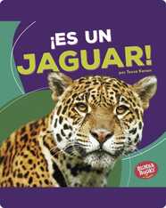 ¡Es un jaguar! (It's a Jaguar!)