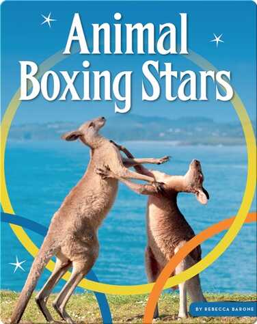 Animal Boxing Stars book