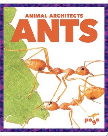 Ants book