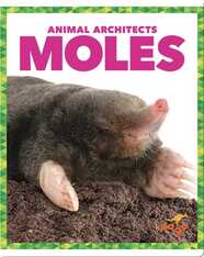 Moles