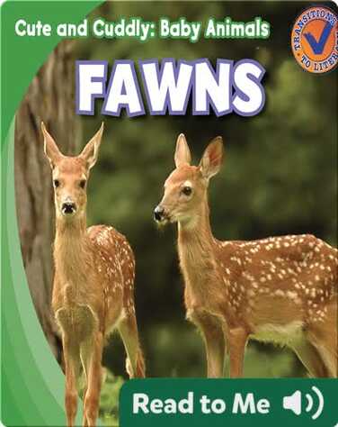 Cute and Cuddly: Fawns book
