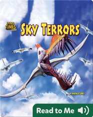 Sky Terrors