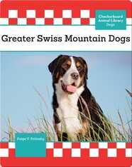 Greater Swiss Mountain Dogs