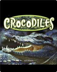 Crocodiles