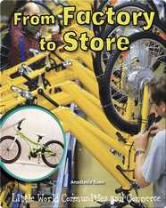 From Factory to Store