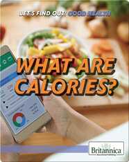 What Are Calories?