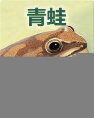 青蛙！