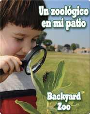 Un Zoologico En Mi Patio  (Backyard Zoo)