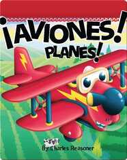 ¡Aviones! (Planes!)