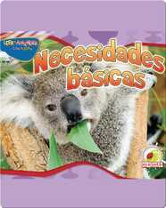 Necesidades Básicas (Basic Needs)
