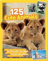 125 Cute Animals