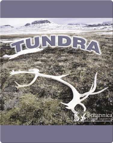 Tundra book