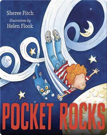 Pocket Rocks book