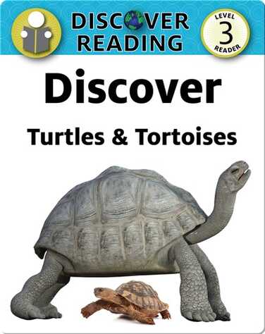 Discover Turtles & Tortoises book