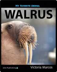My Favorite Animal: Walrus