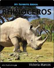 My Favorite Animal: Rhinoceros