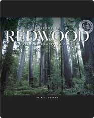 Welcome to Redwood National and State Parks