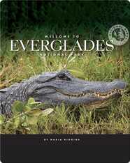 Welcome to Everglades National Park