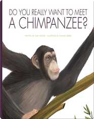 Do You Really Want to Meet a Chimpanzee?