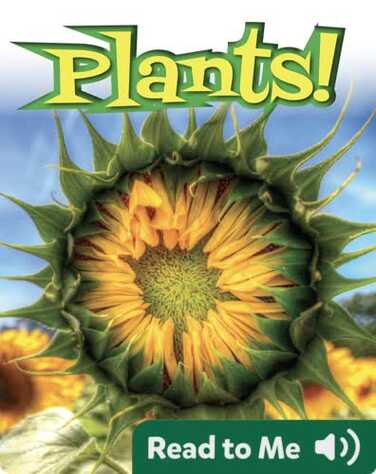 Plants! book